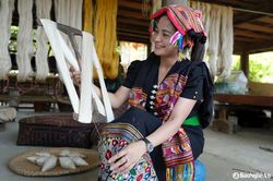 Trồng dâu, nuôi tằm, hướng sinh kế hiệu quả ở vùng cao Nghệ An