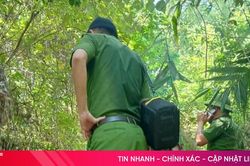 Phát hiện thi thể trong rừng, cơ quan chức năng vào cuộc xác minh danh tính