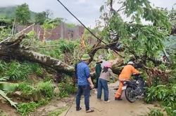 Tăng cường công tác phòng ngừa, ứng phó các sự cố môi trường trong mùa mưa bão