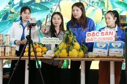 Mở đường cho doanh nghiệp nhỏ lên sàn thương mại điện tử