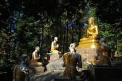 Giới thiệu pháp Thiền nguyên thủy của đức Phật