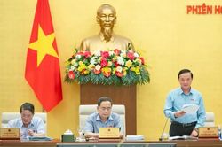 Thông qua về nguyên tắc các nghị quyết sắp xếp cấp xã của 34 tỉnh, thành mới