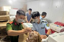 Thu giữ gần 4 tấn thực phẩm đông lạnh không rõ nguồn gốc