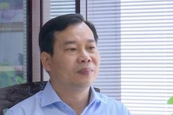 Cần có sự phân hóa rõ ràng hơn về mức hình phạt, bảo đảm tính công bằng