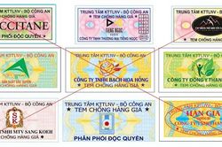 Buôn bán tem giả, vé giả sẽ bị xử lý như thế nào?
