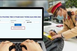 Bao lâu kể từ khi vi phạm giao thông, chủ xe có thể tra cứu phạt nguội?