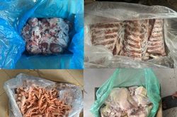 Phát hiện gần 4 tấn thực phẩm đông lạnh nhập lậu tại Công ty TNHH xuất nhập khẩu Thịnh Phát Food