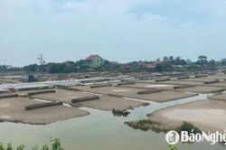 Mưa lớn gây thiệt hại các đồng muối ở Quỳnh Lưu
