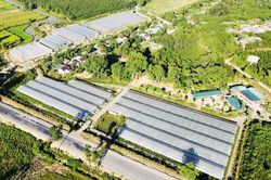 Nghệ An ứng dụng công nghệ cao vào sản xuất nông nghiệp