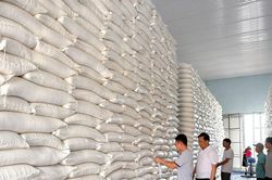 Trong 5 tháng đầu năm, Việt Nam đã xuất khẩu 4,5 triệu tấn gạo