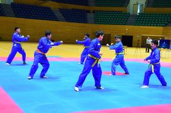 'Giữ lửa' phong trào Vovinam