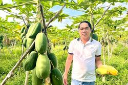Long Hưng kéo giảm tỷ lệ hộ nghèo nhờ chuyển đổi cây trồng