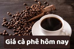 Giá cà phê hôm nay 10/6/2025: Liên tiếp giảm giá