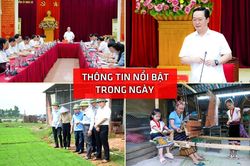 Nghệ An: Thông tin nổi bật ngày 10/6