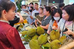 Hải Phòng: Hàng trăm người chen nhau mua sầu riêng sạch