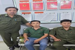 Bắt đối tượng truy nã về hành vi lừa đảo chiếm đoạt tài sản khi đang lẩn trốn tại TP Hồ Chí Minh