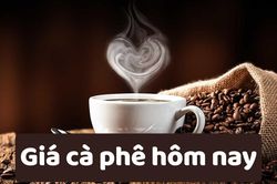 Giá cà phê hôm nay 11/6/2025: Tăng mạnh trở lại