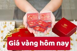 Giá vàng hôm nay 11/6/2025: Giá vàng thế giới biến động sau khảo sát của Reuters về Fed