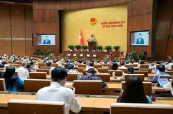 Đại biểu Quốc hội: Thận trọng với đề xuất mở rộng cơ sở tính thuế tiêu thụ đặc biệt