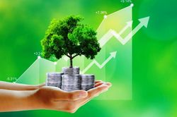 Kinh tế carbon thấp: Việt Nam đã thực sự sẵn sàng đến đâu?