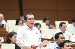 Tăng xử phạt vi phạm hành chính cần chú ý đến thu nhập trung bình của người dân