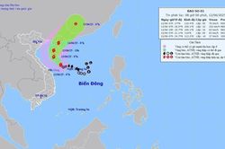 Ứng phó với bão số 1: Quảng Bình đề phòng mưa lớn gây ngập lụt và sạt lở đất đá