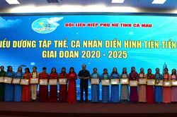 147 tập thể, cá nhân các cấp Hội Phụ nữ ở Cà Mau được tuyên dương