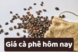 Giá cà phê hôm nay 12/6/2025: Quay đầu giảm mạnh