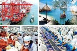 Thu ngân sách 5 tháng đầu năm quận Sơn Trà đạt 86% chỉ tiêu giao