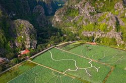 Ninh Bình: Đến Hang Múa ngắm sen bung lụa giữa trời hạ