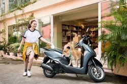 Giá xe Honda Lead 2025 mới nhất tháng 6/2025