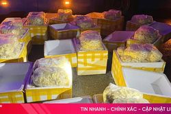 Thu giữ 240kg chả mực không rõ nguồn gốc lưu thông qua Hà Tĩnh