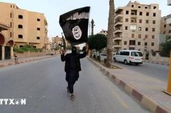 Mỹ không kích giết chết một thủ lĩnh IS ở Syria