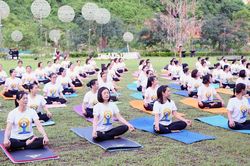 Ngày Quốc tế Yoga tại Sơn La năm 2025