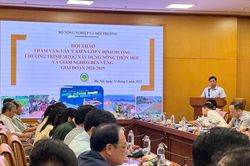 Bước ngoặt của làng quê Việt năm 2026: Đô thị hóa, bứt phá phát triển