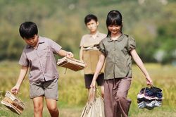 Chiếu phim 'Tôi thấy hoa vàng trên cỏ xanh' tại Australia