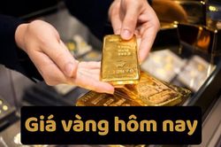 Giá vàng hôm nay 16/6/2025: Giá vàng trong nước cao hơn thế giới 7,64 triệu đồng