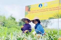 Hành trình số hóa nông nghiệp của đồng bào dân tộc thiểu số ở vùng biên Nậm Pồ
