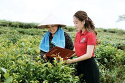 Dự án nông nghiệp tuần hoàn được vay không tài sản bảo đảm tới 70% giá trị dự án