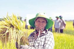 Lời thì thầm của đất