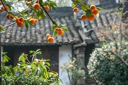 Số cuối ngày sinh Âm lịch của người thành công sớm