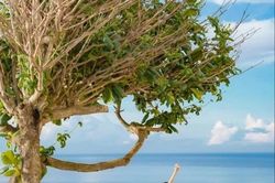 Hè này khám phá Bích Đầm, nên đi tour hay tự túc?