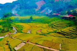 Ngắm những cánh đồng lúa chín vàng ở Pù Luông, Thanh Hóa