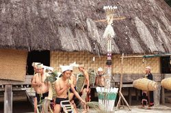 Hỗ trợ bảo tồn, phục hồi văn hóa phi vật thể của các dân tộc thiểu số