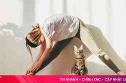 Giúp 'đẩy lùi' mỡ máu từ những việc làm mỗi sáng
