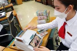 Vay đến 500 triệu, không cần thế chấp với hộ kinh doanh nông nghiệp