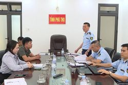 Xác định hơn 23.000 sản phẩm yến chưng là hàng giả