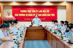 Thường trực Tỉnh ủy làm việc với Ban Thường vụ Đảng ủy UBND tỉnh