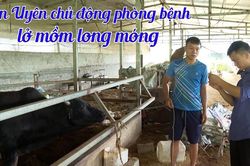 Tân Uyên chủ động phòng bệnh lở mồm long móng
