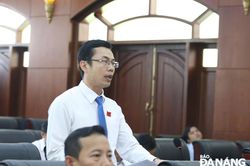 Đại biểu HĐND thảo luận vấn đề nóng về thiếu vật liệu xây dựng và nhà ở xã hội